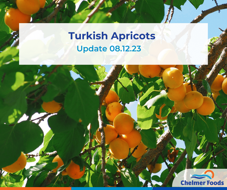 Turkish Apricot update 08.12.23