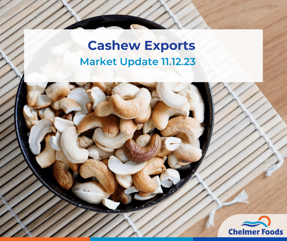 Cashew exports 11.12.23