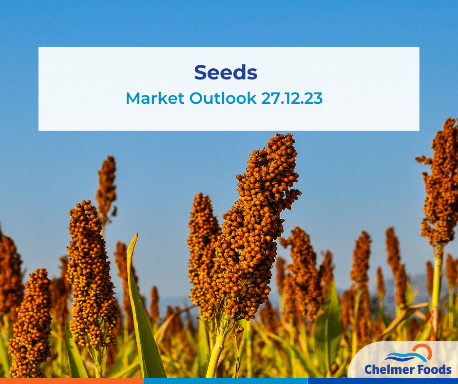Seed Market Outlook 27.12.23