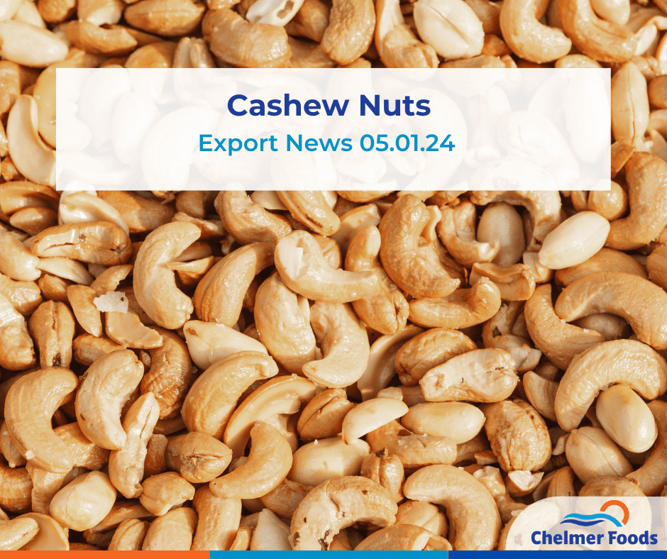Cashew nuts export update 05.01.24