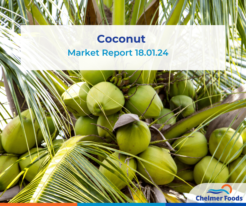 Coconut Market Report 18.01.24
