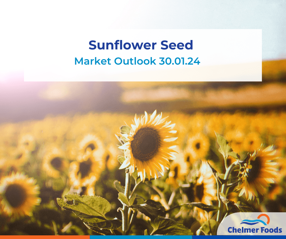 Sunflower Seed Market Outlook 30.01.24