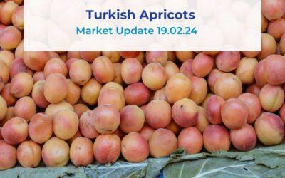 Turkish Apricot Market Update 19.02.24