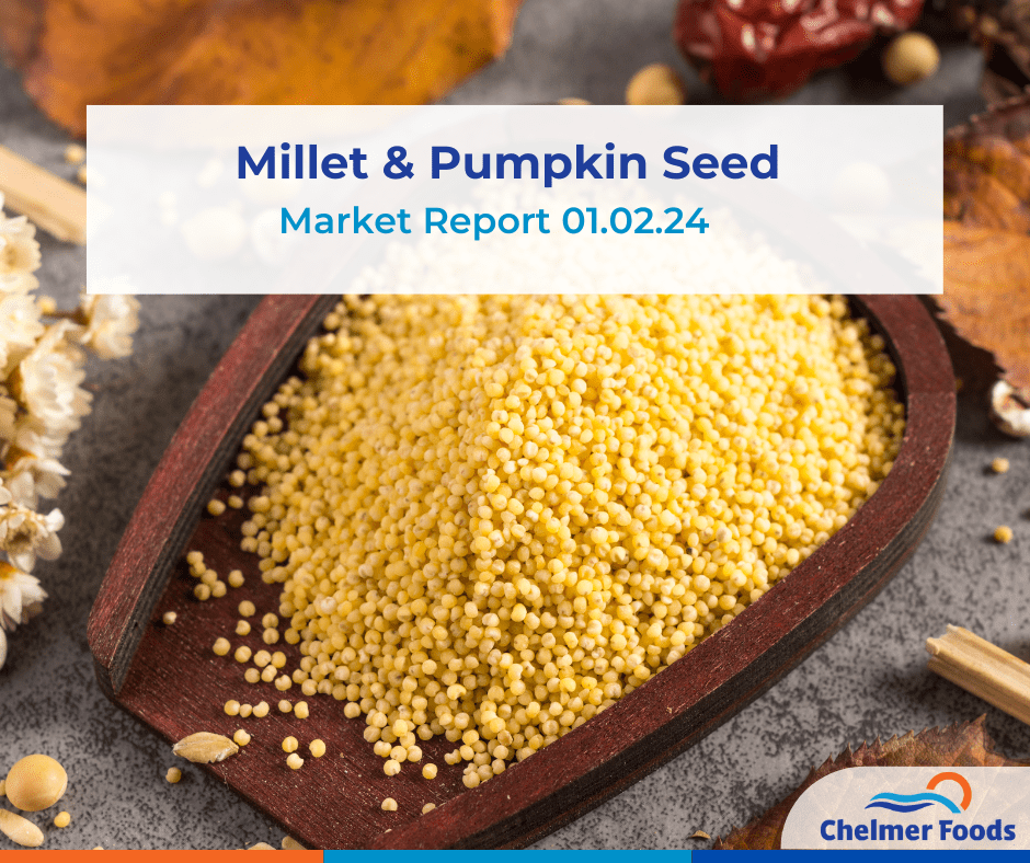 Millet and Pumpkin Seed Market Outlook 01.02.24