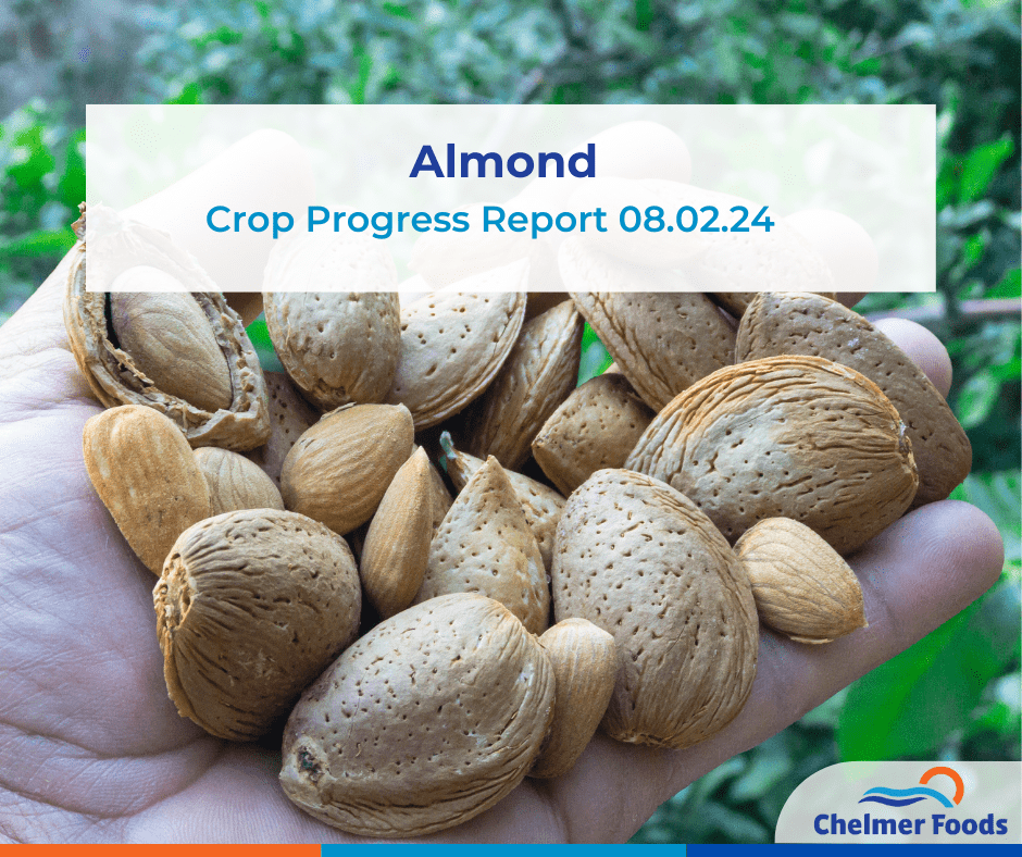 Almond Crop Progress Report 08.02.24