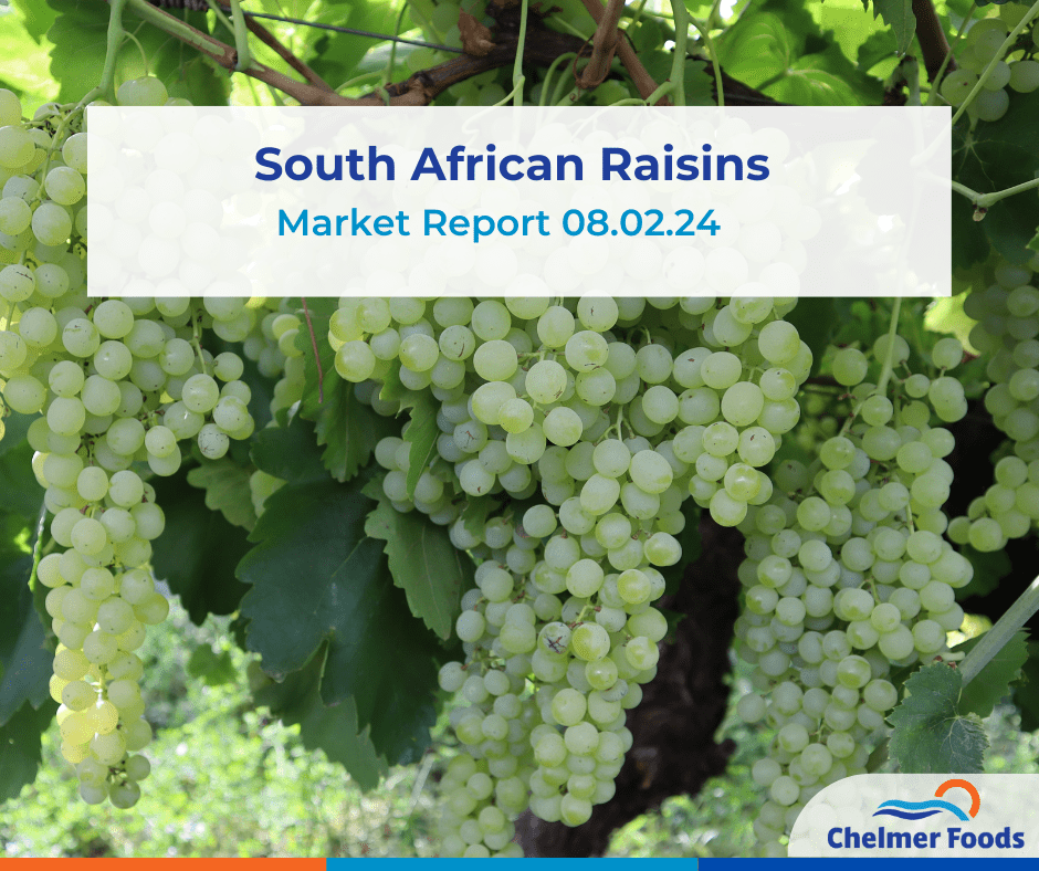 South African Raisin Crop Update 08.02.24