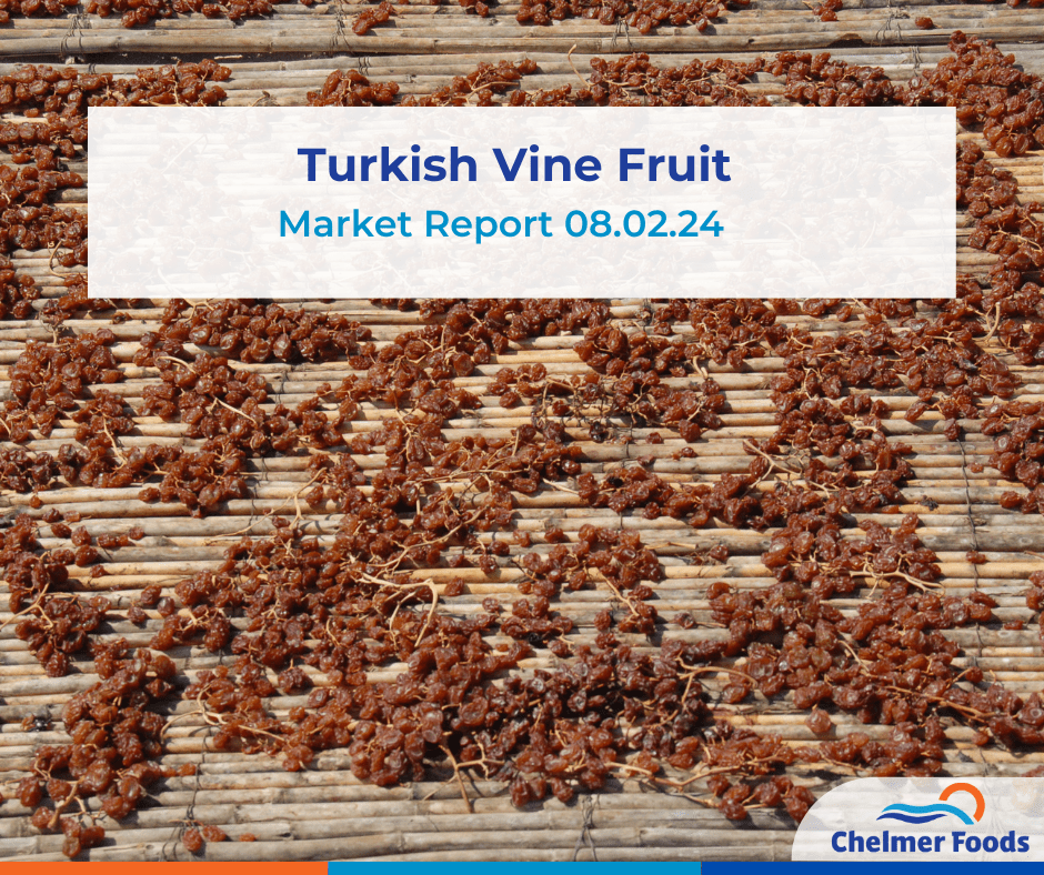 Turkish Vine Fruit update 08.02.24