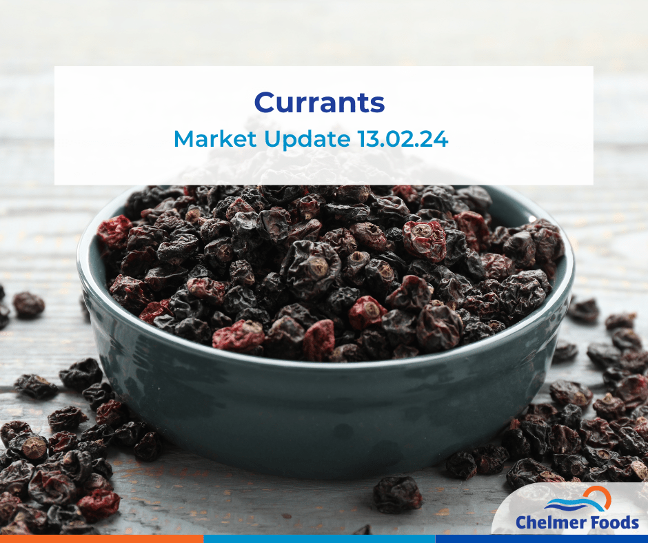 Currants Market Update 13.02.24