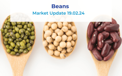 Beans Update 19.02.24