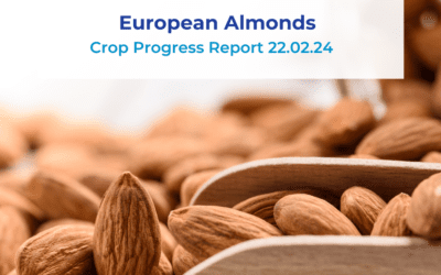 European Almonds Crop Report 22.02.24