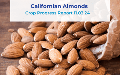 Almond Crop Progress Report 11.03.24