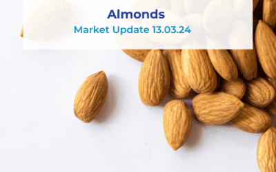 California Almonds Market Update 13.03.24