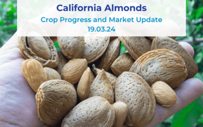 Almond Crop Progress Report and Market Update 19.03.24