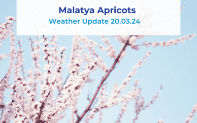 Malatya Apricots Weather Update 20.03.24